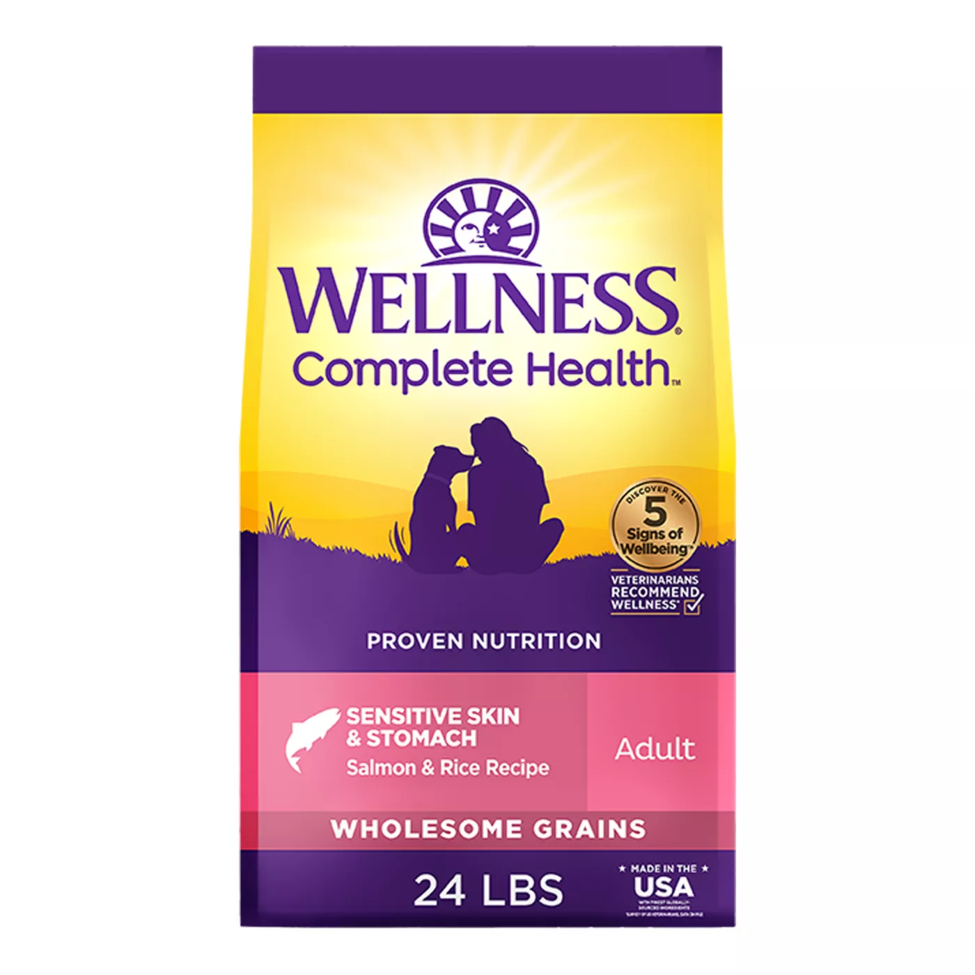 Wellness Complete Health Sensitive Skin & Stomach Adult Dry Dog Food - Salmon & Rice 5362868