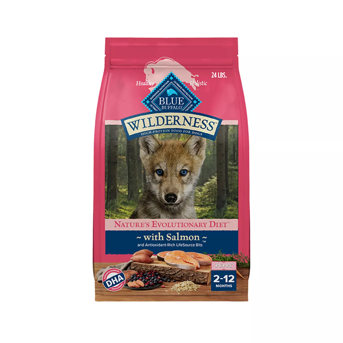 Blue Buffalo Wilderness High Protein, Salmon Puppy Dry Dog Food 5363812